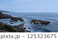 海 125323675