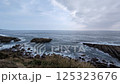 海 125323676