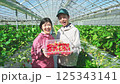 ビニールハウスで収穫したいちごを持つ農家の夫婦 125343141