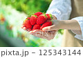 ビニールハウスにいる女性の手のひらに乗る新鮮ないちご 125343144