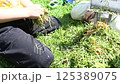 A child plays with toy cars on the lawn in the sunny day. 125389075