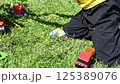 A child plays with toy cars on the lawn in the sunny day. 125389076