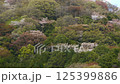 Takamine Mountain Cherry Blossoms_05 125399886