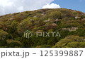 Takamine Mountain Cherry Blossoms_04 125399887