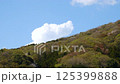 Takamine Mountain Cherry Blossoms_03 125399888