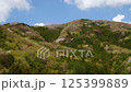 Takamine Mountain Cherry Blossoms_02 125399889