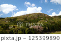 Takamine Mountain Cherry Blossoms_01 125399890