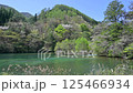 長野縣阿智村駒場水壩的春天 125466934