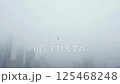 hawk flies over a city shrouded in smoke.AI Generated 125468248