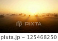 Aerial view of dense fog over lush forest.AI Generated 125468250