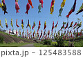 Carp streamer 125483588