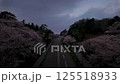Time-lapse video of cherry blossom-lined road in full bloom in spring - Beautiful dawn in Kanazawa Time-lapse video of cherry blossom-lined road in full bloom in spring - Beautiful dawn in Kanazawa 125518933