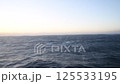 【東京九州フェリーはまゆう　大時化の太平洋】 125533195