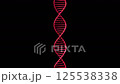 旋轉的單一 DNA 雙螺旋結構影像 - 3DCG 125538338