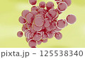 球菌繁殖影像 125538340
