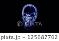 頭蓋骨のレントゲン 125687702