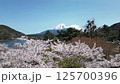 Drone aerial shot of Lake Shoji, cherry blossoms and Mt. Fuji 125700396