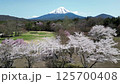 Cherry blossoms and Mt. Fuji drone aerial photography 125700408