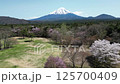 Cherry blossoms and Mt. Fuji drone aerial photography 125700409