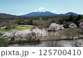 Cherry blossoms and Mt. Fuji drone aerial photography 125700410