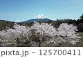 Cherry blossoms and Mt. Fuji drone aerial photography 125700411