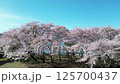 Drone aerial photography of Lake Kawaguchi and Mt. Fuji 125700437