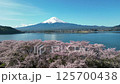 Drone aerial photography of Lake Kawaguchi and Mt. Fuji 125700438