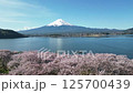 Drone aerial photography of Lake Kawaguchi and Mt. Fuji 125700439