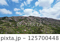 Drone aerial photography of Takamine mountain cherry blossoms, Ibaraki Prefecture 125700448