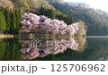 長野県　鏡のような水面に映る中網湖の桜 125706962