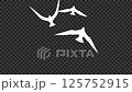 Bird flapping wings silhouette animation 1_with alpha channel 125752915
