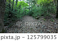 In the forest - Video material-002 125799035