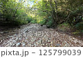 In the forest - Video material-006 125799039