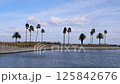 Palm trees at Tanoura Beach (Oita City, Oita Prefecture) 125842676
