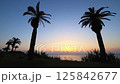 Palm trees and the morning sun at Horikiri Pass (Miyazaki City, Miyazaki Prefecture) 125842677
