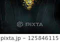 Flying bats animation and moon night on the background, Halloween event with dark forest and fog, smoke 4K Loop 125846115