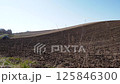 Biei Spring Scenery 125846300