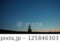 Sunset crescent moon and christmas tree 125846303
