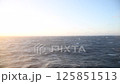 【東京九州フェリーはまゆう　大時化の太平洋】 125851513