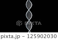 旋轉的單一 DNA 雙螺旋結構影像 - 3DCG 125902030