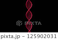 旋轉的單一 DNA 雙螺旋結構影像 - 3DCG 125902031