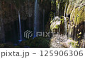 Pristine stream cascading over moss-draped stones, forming elegant waterfall within lush woodland, revealing untouched natural landscape's serene tranquility 125906306