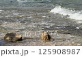 Waves of Pure Water. Sea waves Against Stones And Pebbles On a Beach. 125908987