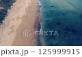 aerial view of seagulls on the ocean shore from a flying drone 125999915