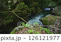 Tsubotaki waterfall 126121977