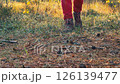 Woman in trekking boots walks through sunny autumn forest. Feet walk on fallen leaves and grass. Tourism and hiking. 126139477