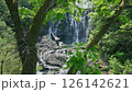空撮、木々の間を抜けていくドローンは、滝に向かって飛んでいく 126142621