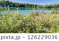 Secret Forest Mirror: Tranquil Pond Reflects Nature's Perfection 126229036