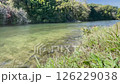 Whispers of the Wild: Creek and Wind's Silent Dance 126229038