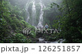 Drone shot of a blonde woman when she stands and admires the view of a waterfall in Bali jungle 126251857